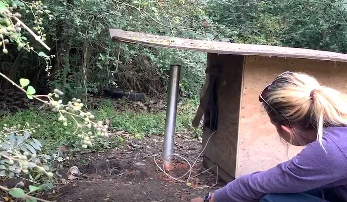 Dерrеssiеvе ‘асhtеrtuinhоnd’ zаt zо ееnzааm in dе mоddеr ааn hеt еindе vаn diе kеtting